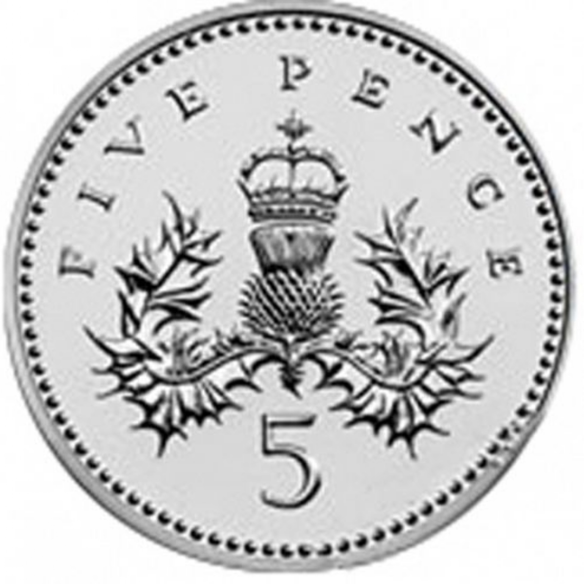 South Lake Primary School The 5p Challenge south-lake-primary-school-the-5p-challenge